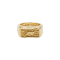 ANILLO06.webp